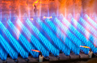 Buckton gas fired boilers